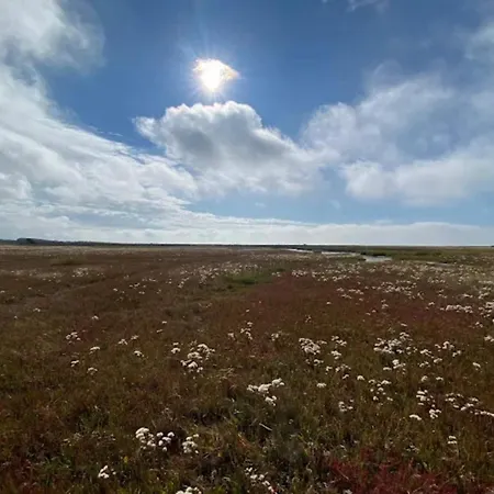 6 Person In Laeso-by Traum Laeso